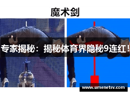 专家揭秘：揭秘体育界隐秘9连红！